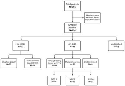 Clinical, Immunological, and Molecular Profile of Chronic Granulomatous Disease: A Multi-Centric Study of 236 Patients From India